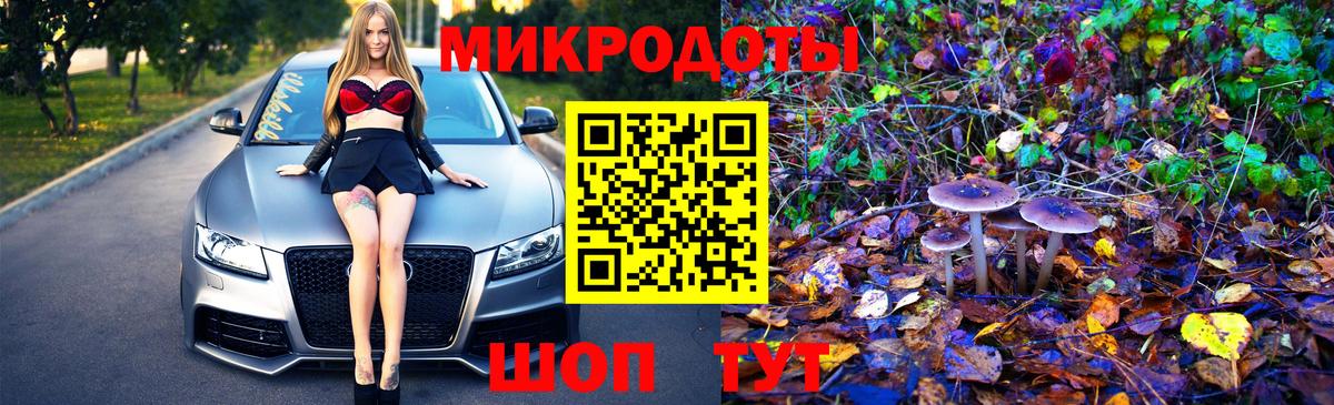 Псилоцибиновые грибы Psilocybe Усть-Илимск