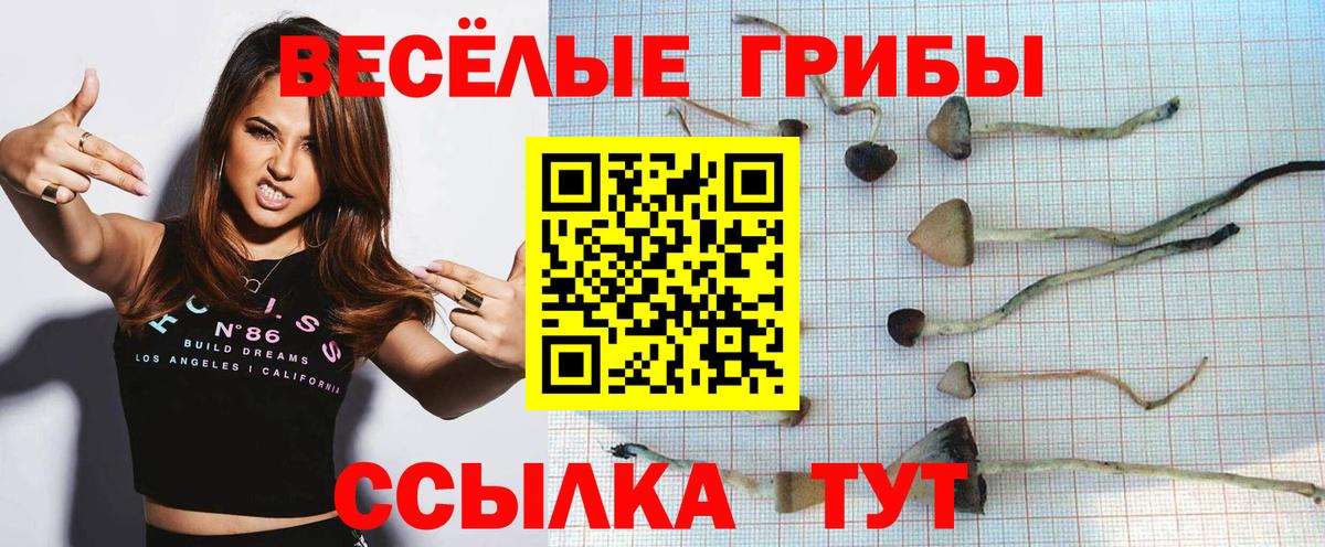 Псилоцибиновые грибы MAGIC MUSHROOMS  Вход с VPN  Усть-Илимск 